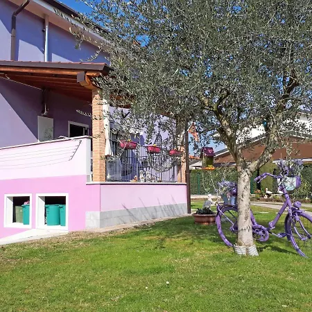 B&B Milu'-2